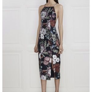 Floral Print Structured Cocktail Dress